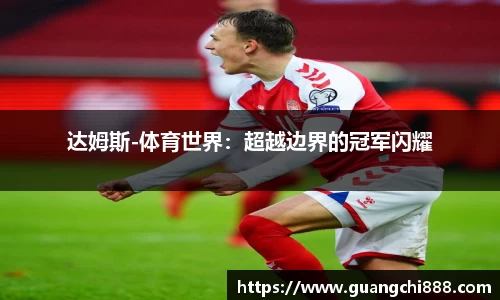 达姆斯-体育世界：超越边界的冠军闪耀