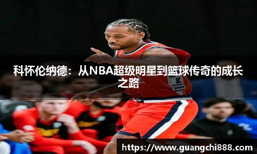 jbo竞博电竞官方网站
